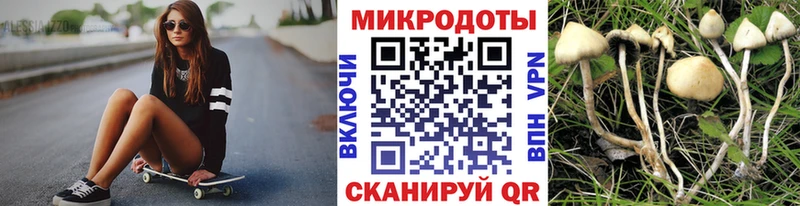 Купить  Минеральные Воды  Псилоцибиновые грибы Magic Shrooms 
